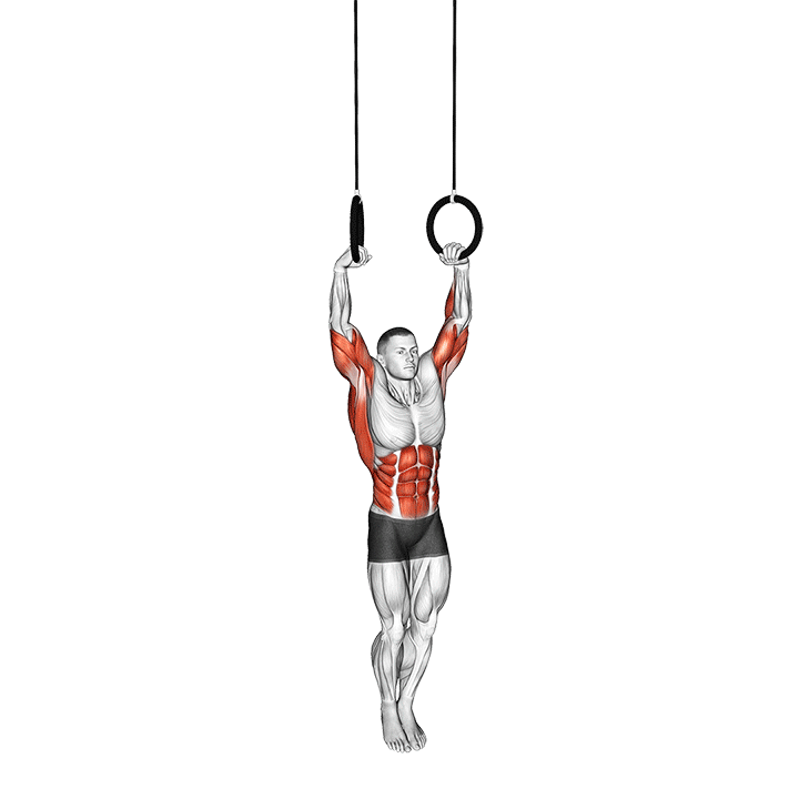 Ring Muscle Up exercise animation