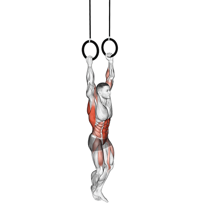 Rings Pull-Up exercise animation