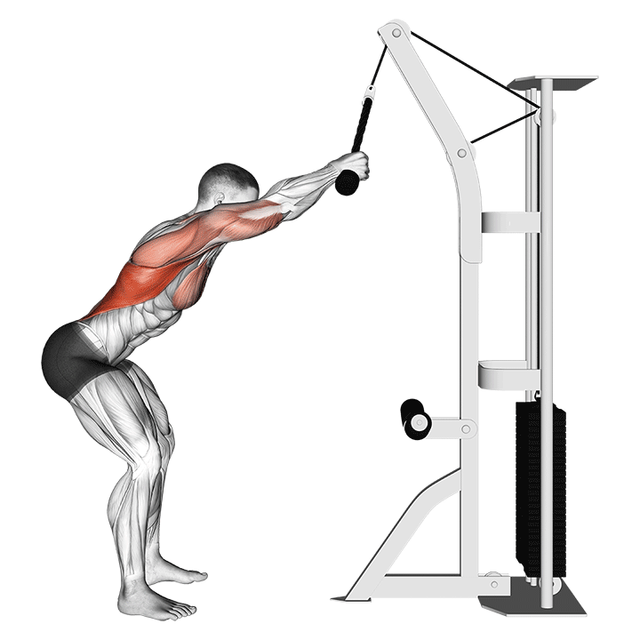 Rope Straight-Arm Lat Pulldown exercise animation