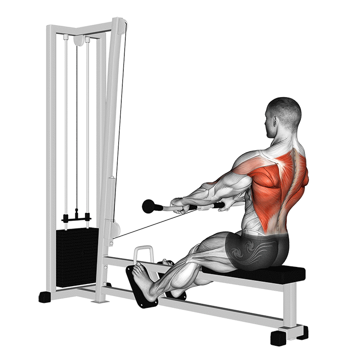 Seated Cable Row exercise animation