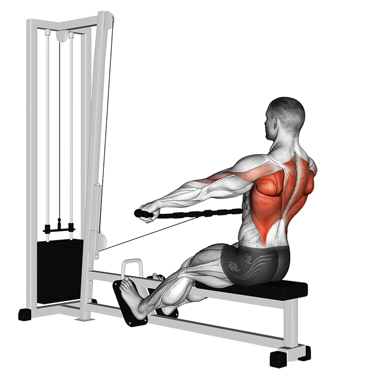 Seated Cable Wide Grip Row exercise animation