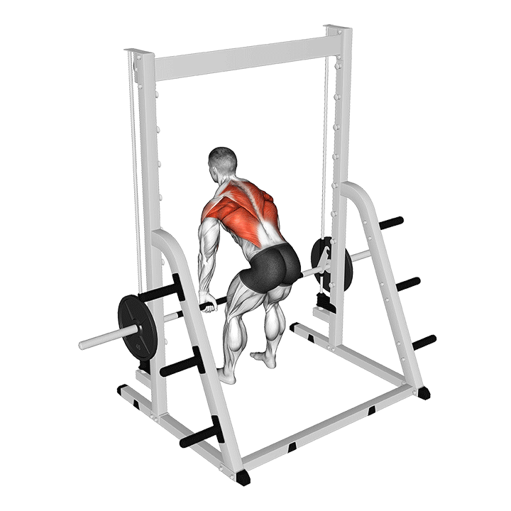 Smith Bent Over Row exercise animation