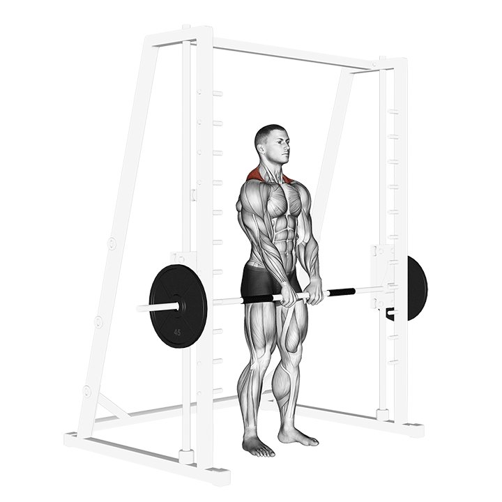 Smith Shoulder Shrug exercise animation