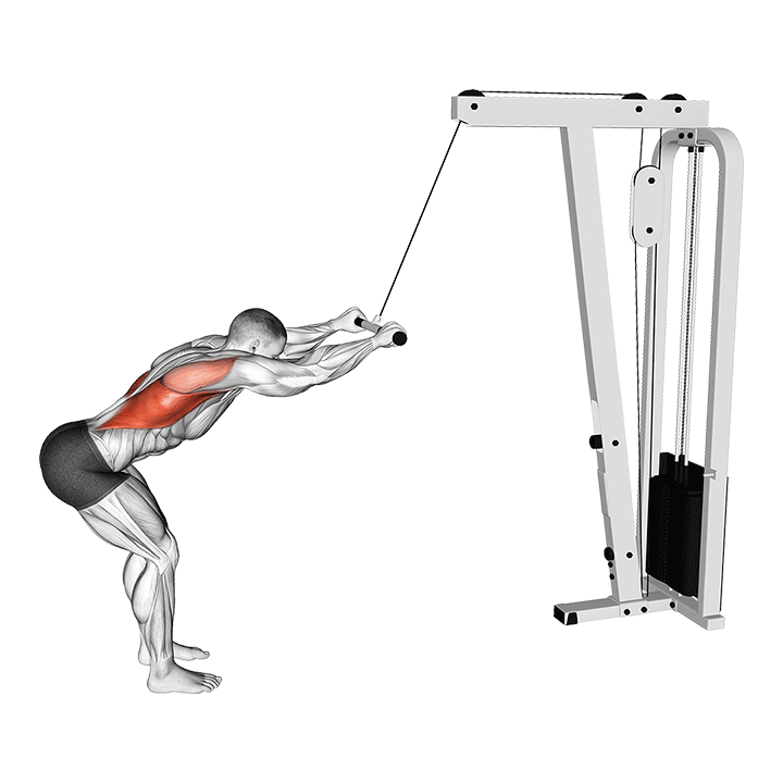 Straight-Arm Lat Pulldown exercise animation