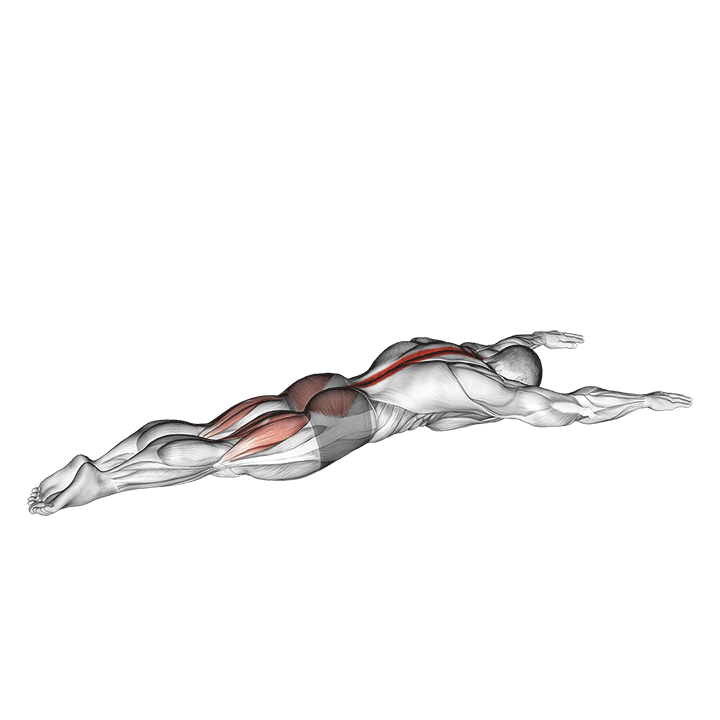 Superman exercise animation