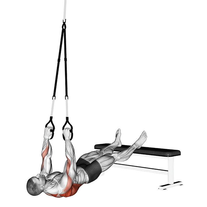 Suspension Inverted Row exercise animation