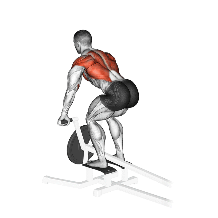 T-Bar Bent Over Row exercise animation