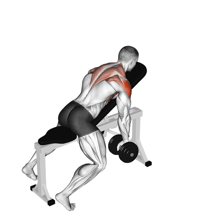 Trap Y Raise exercise animation