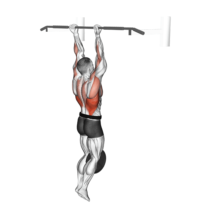 Weighted Chin Up exercise animation