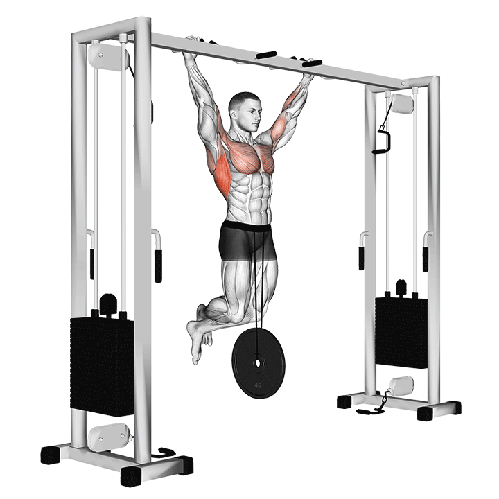 Weighted Pull-Up exercise animation