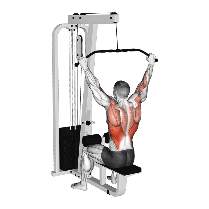 Wide Grip Lat Pulldown exercise animation
