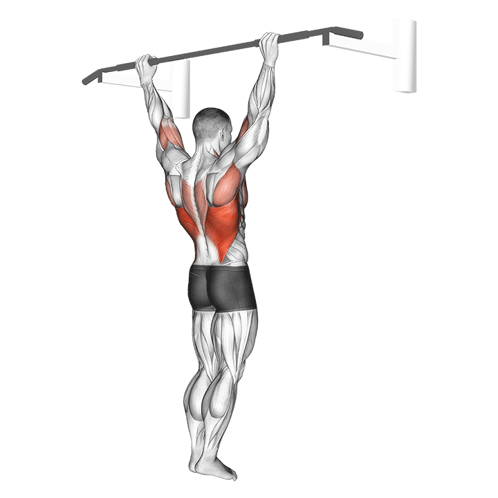 Wide Grip Rear Pull-Up exercise animation