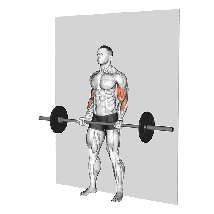 Barbell Wall Curl exercise animation
