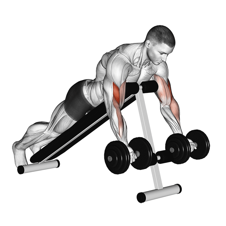 Dumbbell Spider Curl exercise animation