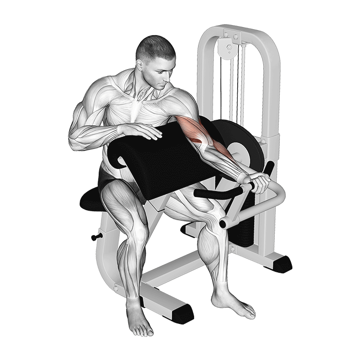 One-Arm Machine Preacher Curl exercise animation
