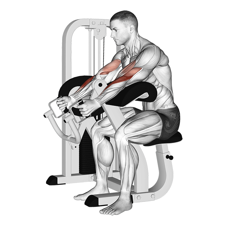 Preacher Hammer Curl exercise animation