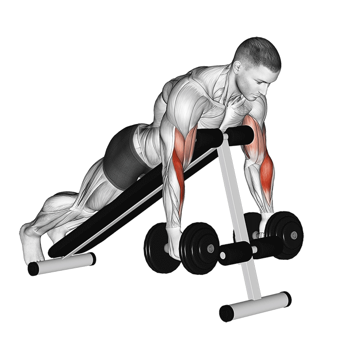 Spider Hammer Curl exercise animation