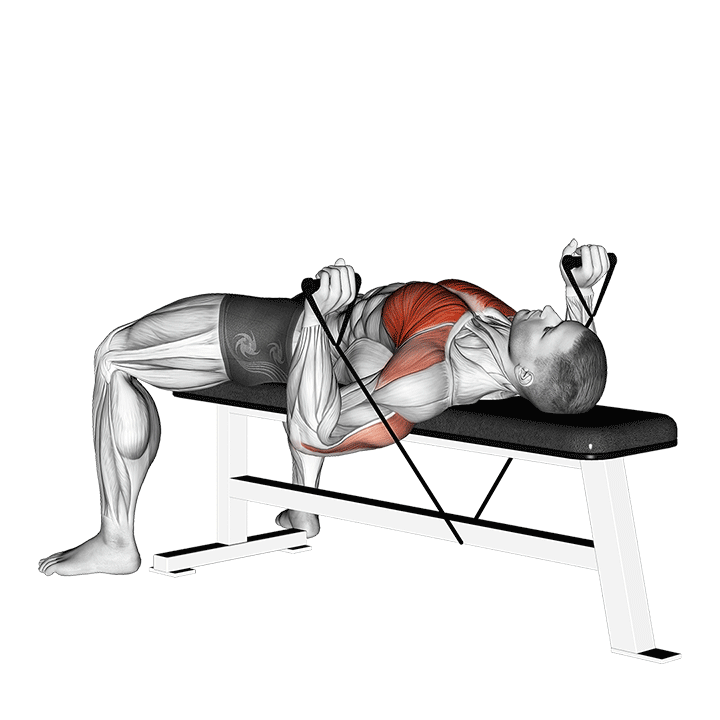 Band Bench Chest Press exercise animation