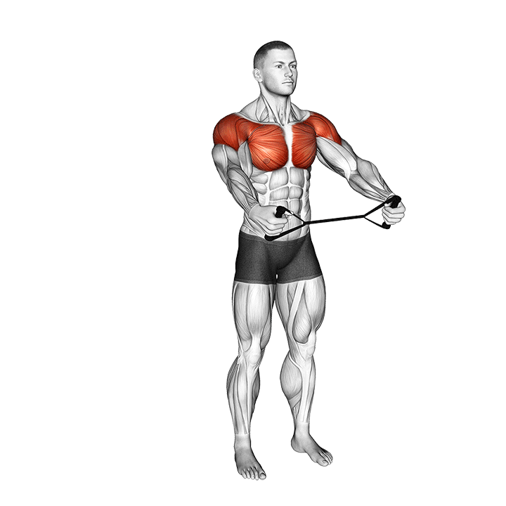 Band Warm-Up Dynamic Shoulder Stretch exercise animation