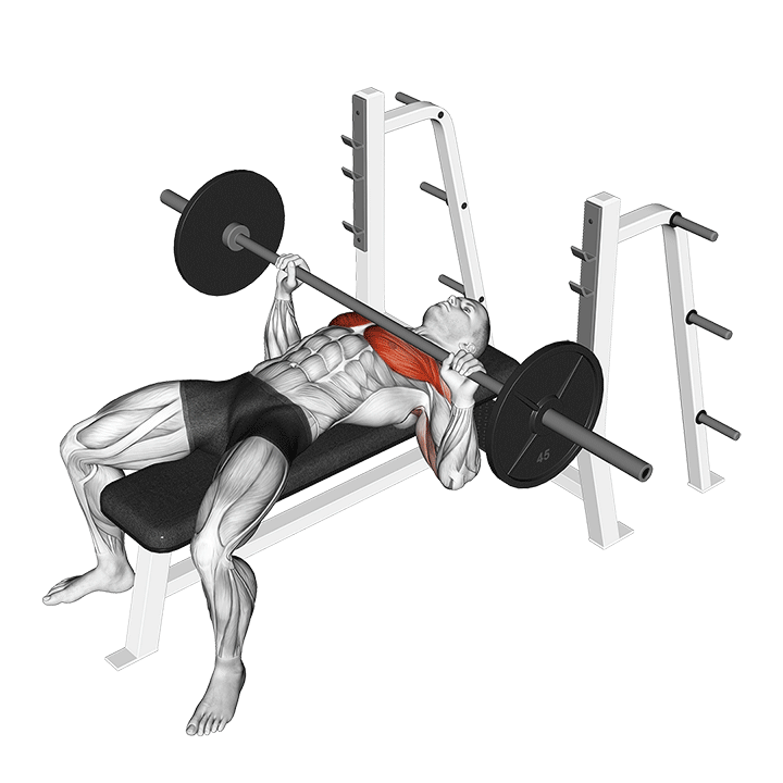 Barbell Bench Press exercise animation