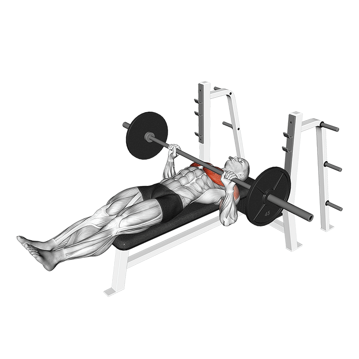 Barbell Larsen Press exercise animation