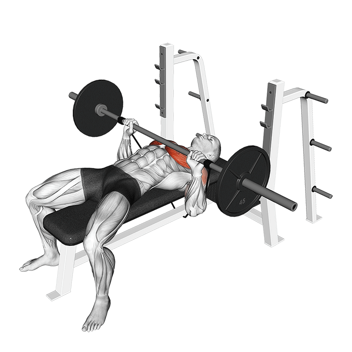 Bench Press With Resistance Band exercise animation