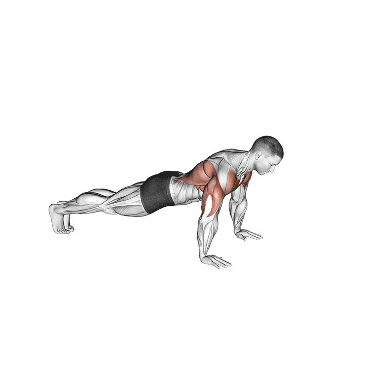 Bird Dog Push-Up exercise animation