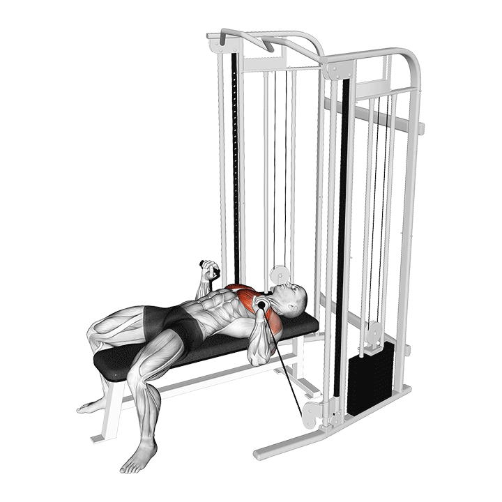 Cable Bench Press exercise animation