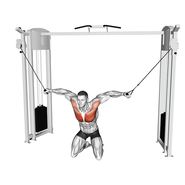 Cable Kneeling High To Low Fly exercise animation