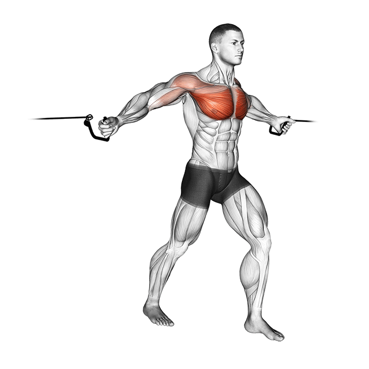 Cable Middle Chest Fly exercise animation