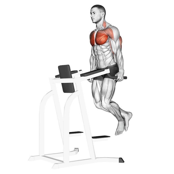 Chest Dips exercise animation