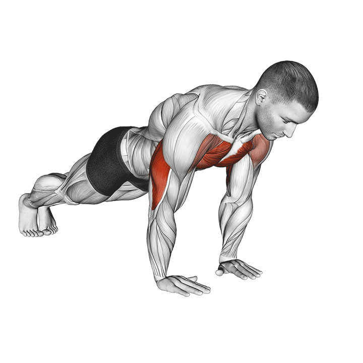 Close Grip Push-Up exercise animation