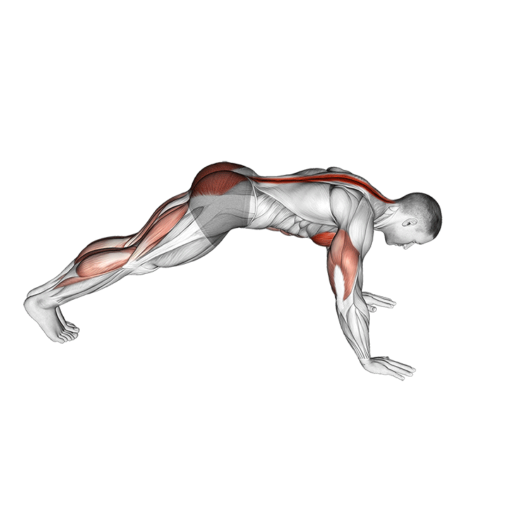 Cobra Push-Up exercise animation