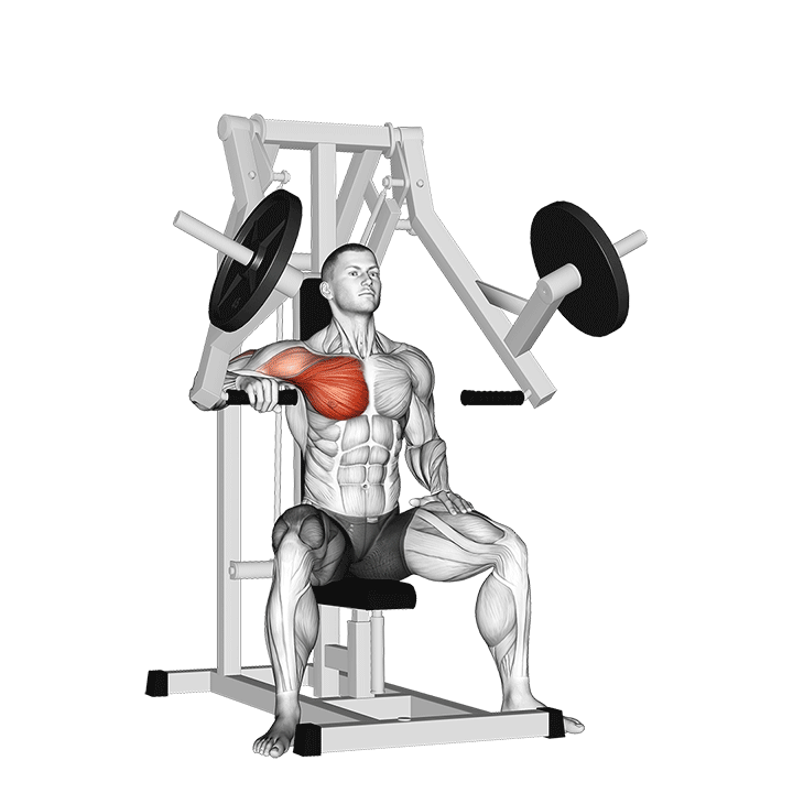 Cross Body One-Arm Strength Press exercise animation