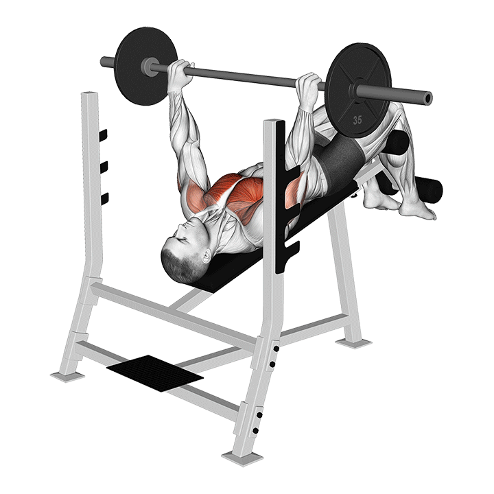 Decline Barbell Bench Press exercise animation