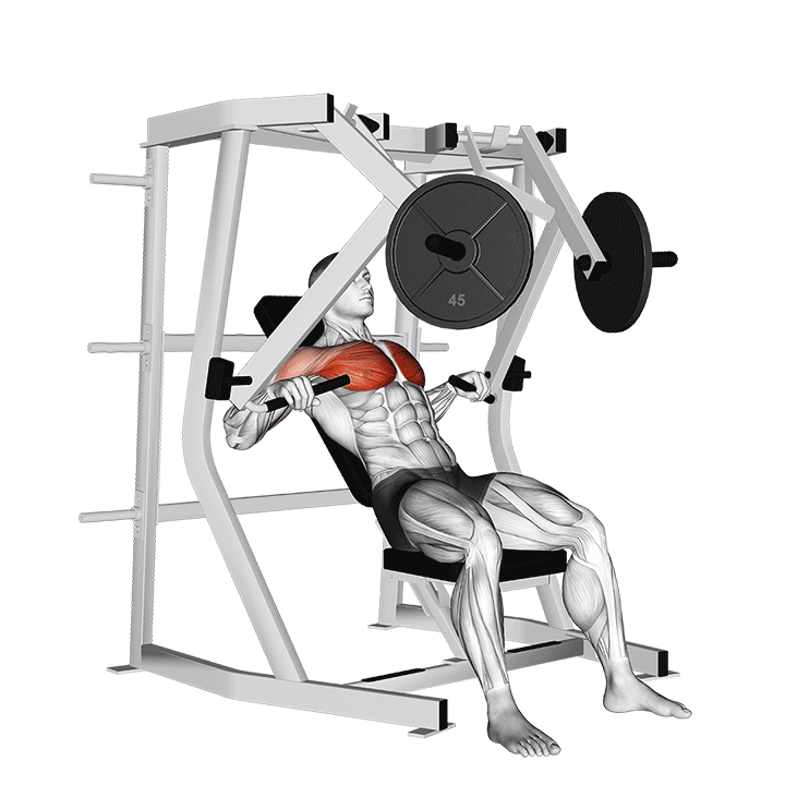 Decline Chest Press exercise animation