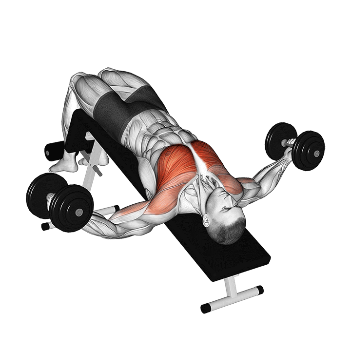 Decline Dumbbell Fly exercise animation