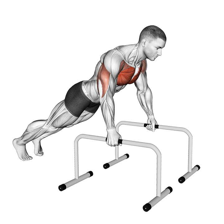 Deep Push Up On Parallel Bars exercise animation