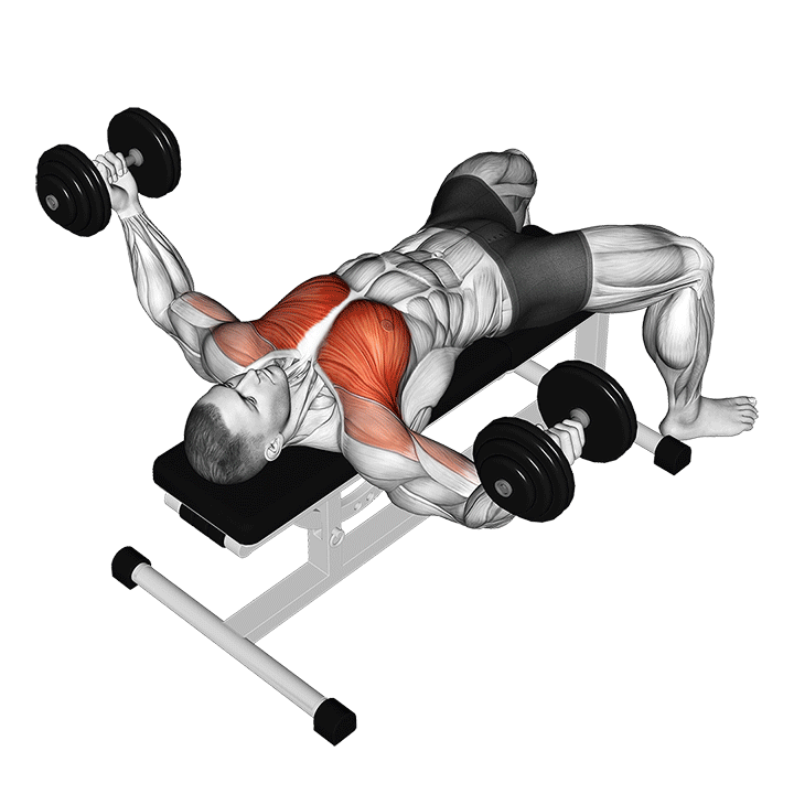Dumbbell Chest Fly exercise animation
