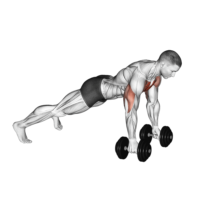 Dumbbell Deep Push Up exercise animation