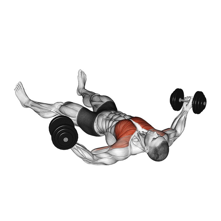 Dumbbell Floor Chest Fly exercise animation