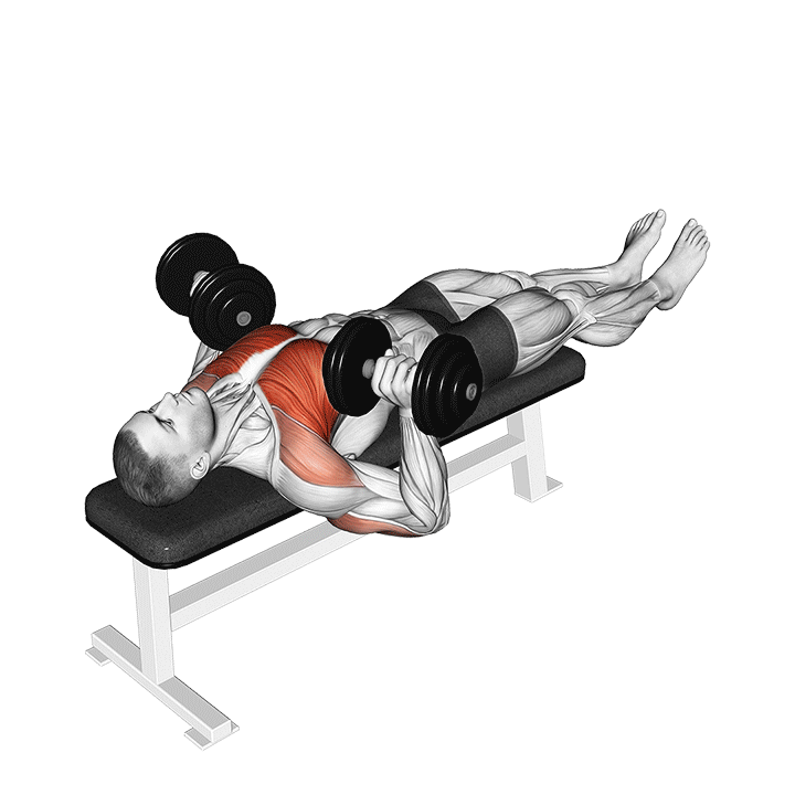 Dumbbell Larsen Press exercise animation