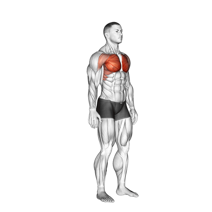 Elbow Out Chest Stretch exercise animation