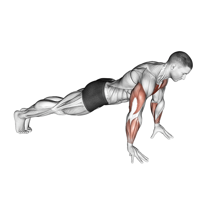 Finger Push-Up exercise animation