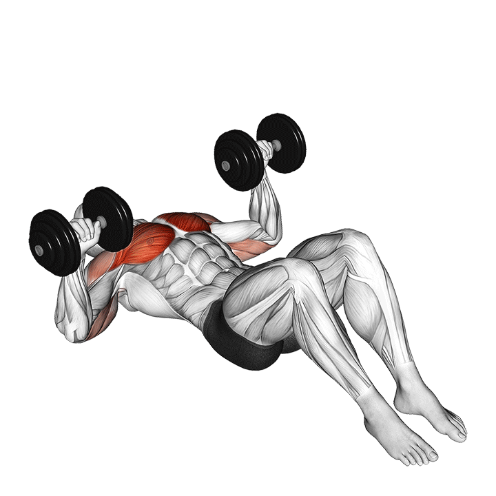 Floor Dumbbell Press exercise animation