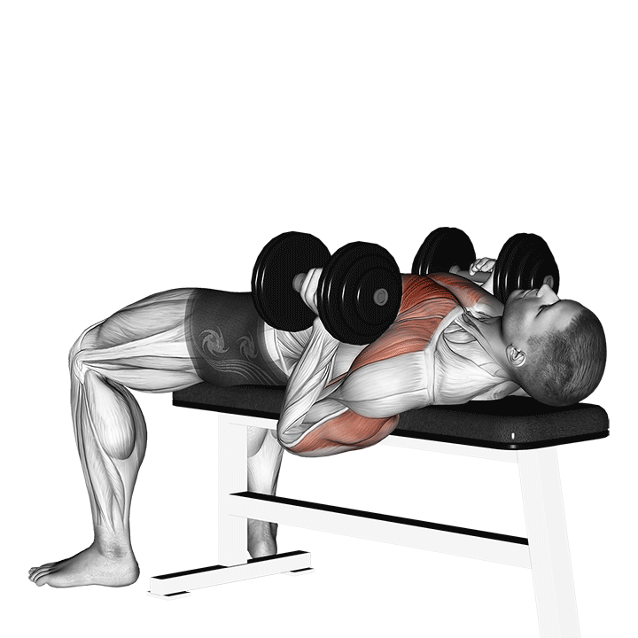 Hammer Grip Dumbbell Bench Press exercise animation