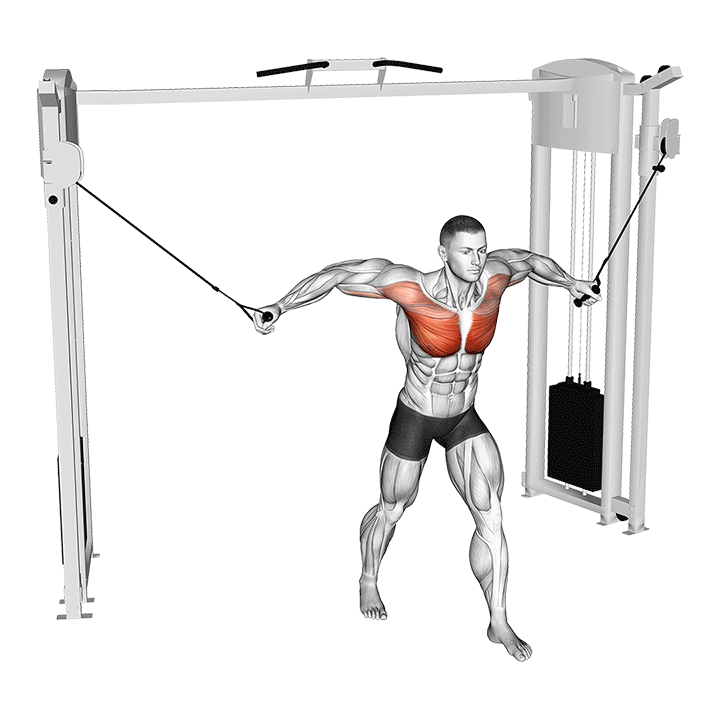 High Low Cable Chest Fly exercise animation