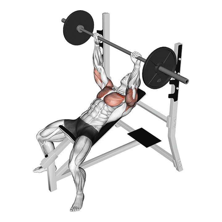 Incline Barbell Bench Press exercise animation