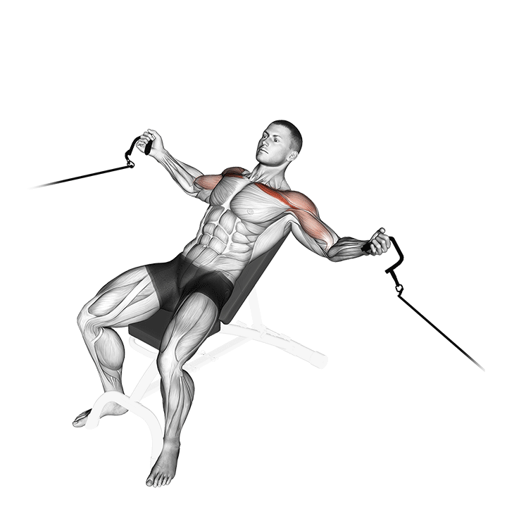 Incline Bench Cable Fly exercise animation