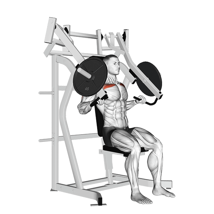 Incline Hammer Chest Press exercise animation